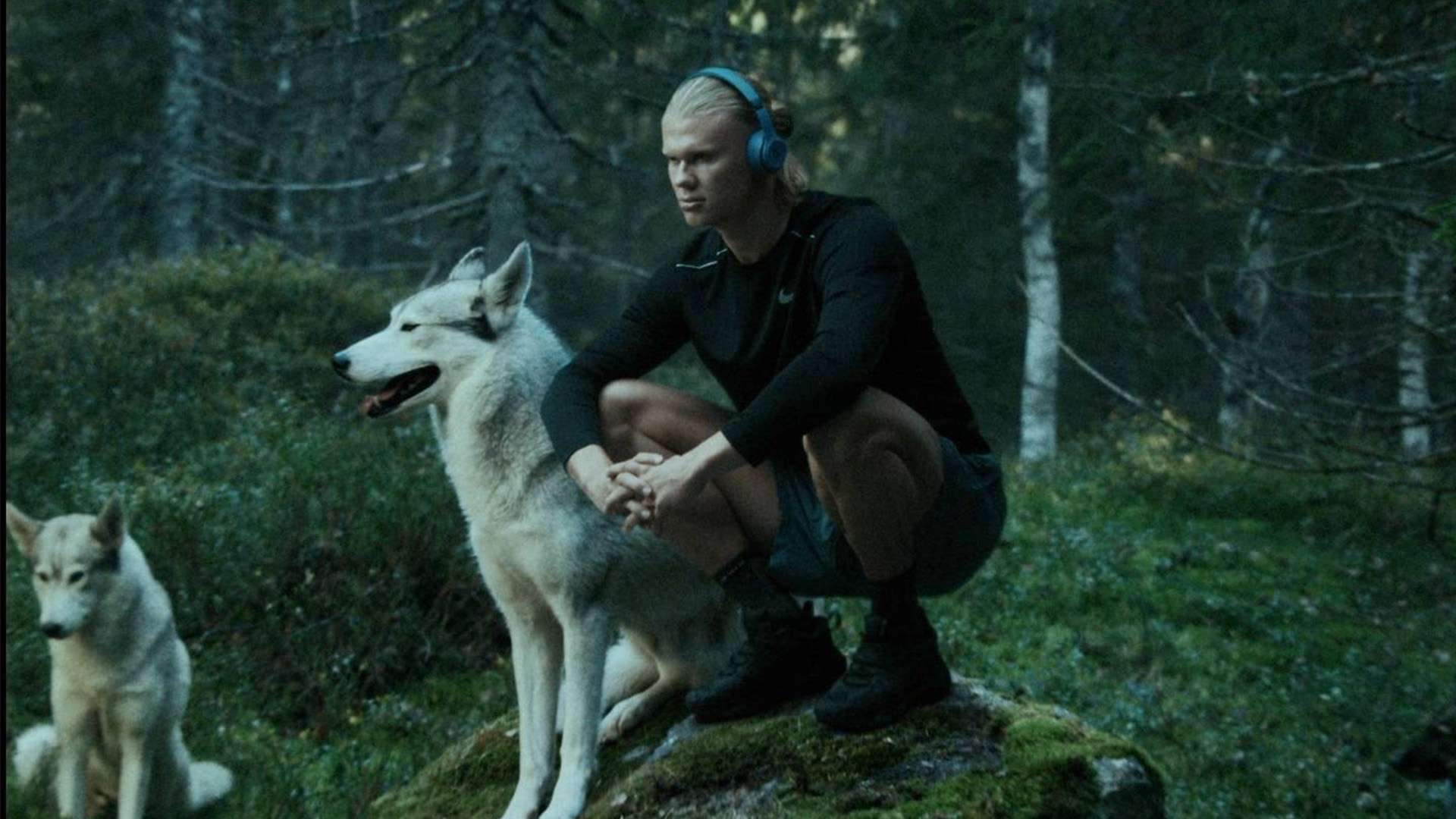 拉波尔塔努力修复与纳赛尔的关系却遭冷落未果的背后故事